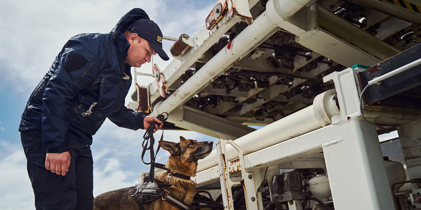 Dog Handlers